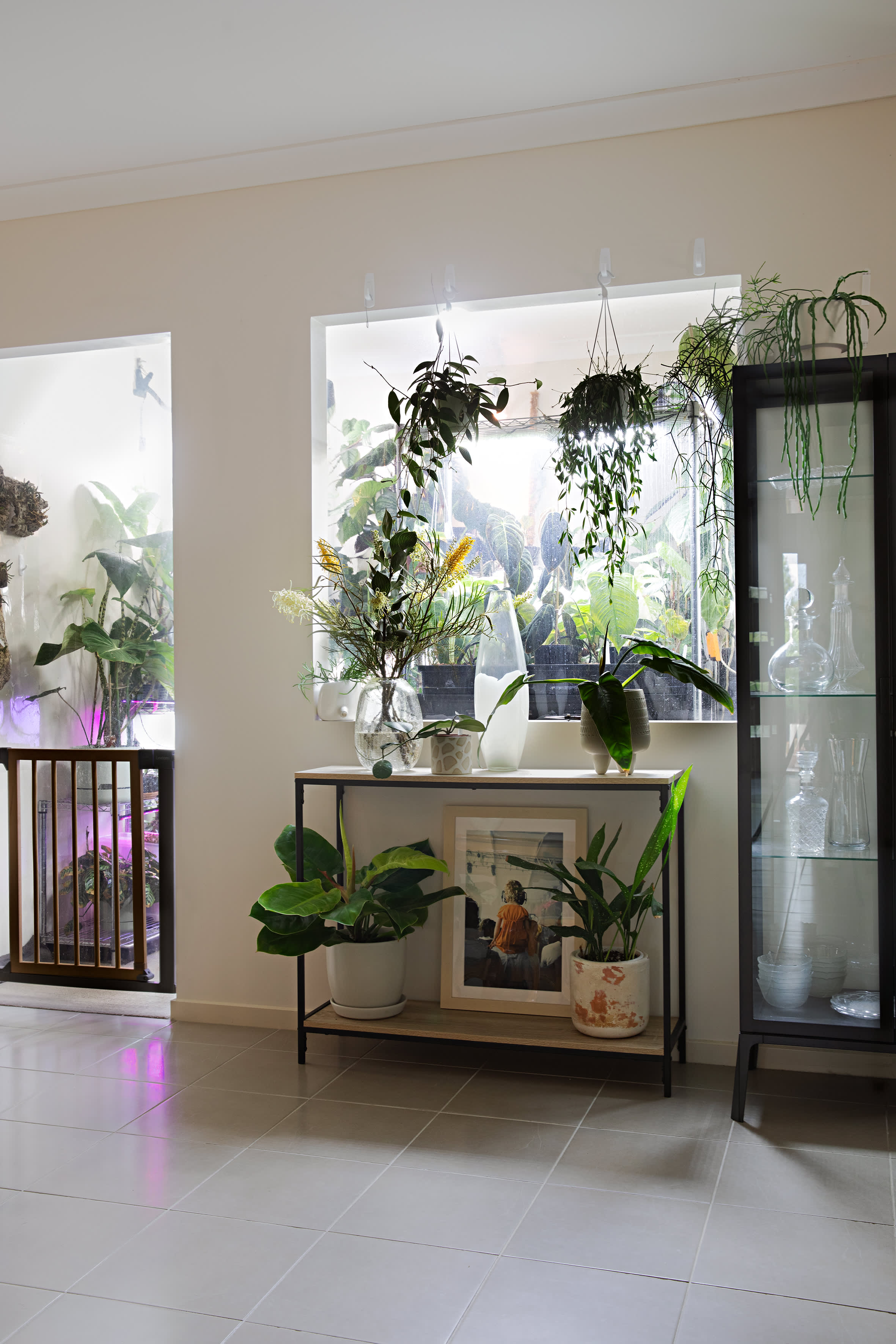 Indoor Greenhouse Plant Filled Australia Rental Home Apartment Therapy